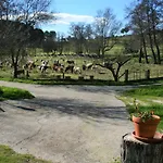 Casa Rural - Complejo El Tejar De Canadas Hotel *