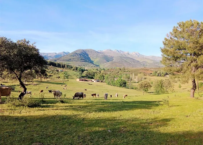 호텔 Casa Rural - Complejo El Tejar De Canadas 칸델레다