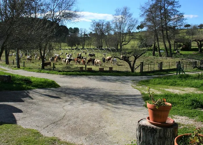 Casa Rural - Complejo El Tejar De Canadas Hotel *
