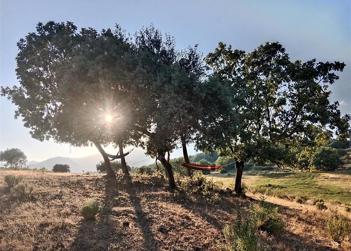 호텔 Casa Rural - Complejo El Tejar De Canadas *