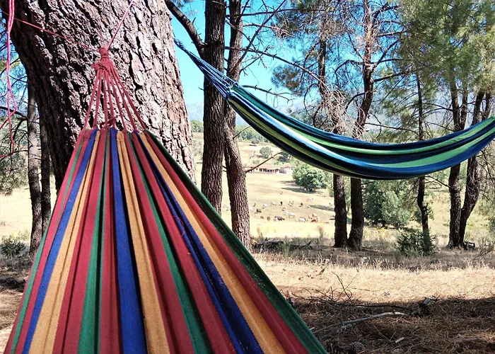 Casa Rural - Complejo El Tejar De Canadas 호텔